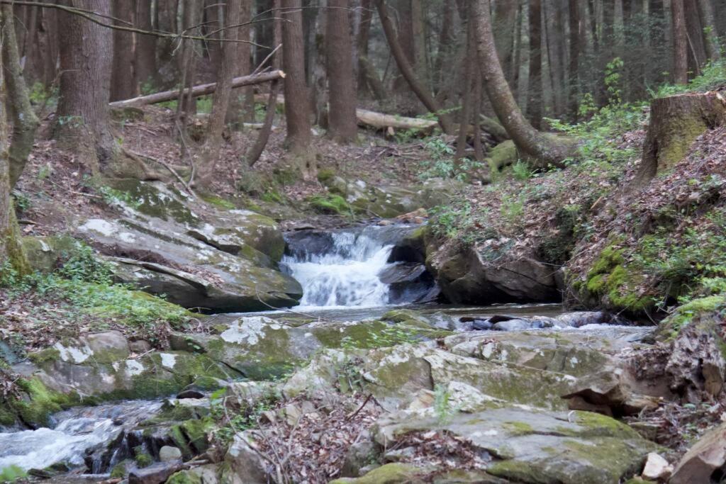 Private Creekside Cabin+Hot Tub,Pool Table, & Pets Ellijay Dış mekan fotoğraf